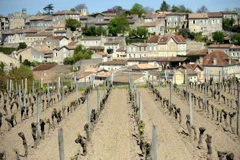  View of St Emilion from Ausone